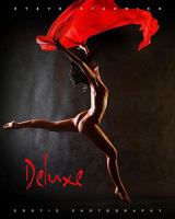 DELUXE: Erotic Photography 1440435987 Book Cover