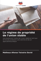 Le régime de propriété de l'union stable: Une analyse de l'institut de l'union stable en tant que forme de constitution de la famille et de son applicabilité pratique 6206325725 Book Cover