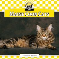 Maine Coon Cats 1616133988 Book Cover