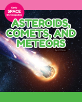 Asteroids, Comets, and Meteors 1098298764 Book Cover