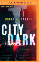 City Dark 1542039541 Book Cover