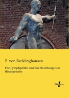 Die Lymphgefasse Und Ihre Beziehung Zum Bindegewebe 1161111379 Book Cover