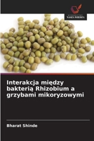 Interakcja miedzy bakteria Rhizobium a grzybami mikoryzowymi (Polish Edition) 6209476538 Book Cover