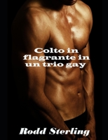 Colto in flagrante in un trio gay: racconto erotico gay null Book Cover