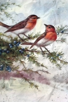 Rotkehlchen Notizbuch: vielseitiges Notizbuch modernes und auff�lliges Notizbuch kariert 120 karierte Seiten Din A5 perfekt als Notizheft, Tagebuch und Journal Geschenk mit kleinen Eisv�geln 171242596X Book Cover