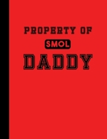 Property of Daddy: DDLG ABDL BDSM Adult Diary Notebook 100 lined pages 1673976034 Book Cover