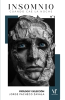 Insomnio: Cuando cae la noche (Spanish Edition) B0FGW973Q5 Book Cover