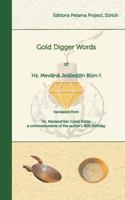 Gold Digger Words 3907643259 Book Cover