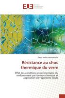 Ra(c)Sistance Au Choc Thermique Du Verre 3841677401 Book Cover