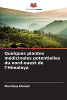 Quelques plantes médicinales potentielles du nord-ouest de l'Himalaya 6630264061 Book Cover