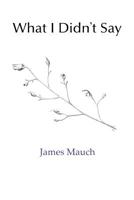 What I Didn't Say 1090350953 Book Cover