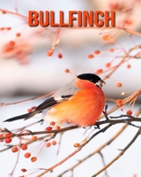 Bullfinch: Learn About Bullfinch and Enjoy Colorful Pictures B08KQDYND8 Book Cover