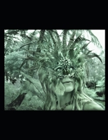 Burp Toothy Frog: fantasy romance 1698903979 Book Cover