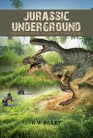 Jurassic Underground: Dinosaur Fossil Treasures to Be Found 1480957593 Book Cover