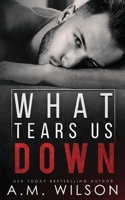 What Tears Us Down B09CRY3QVQ Book Cover