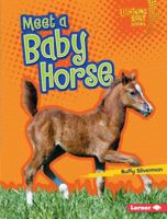 Meet a Baby Horse 1512408018 Book Cover