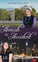Amish by Accident 1940492610 Book Cover
