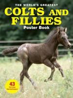 The World's Greatest Colts and Fillies Poster Book 0760334536 Book Cover