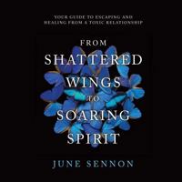 From Shattered Wings to Soaring Spirit B0DP4LKF9V Book Cover