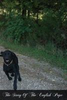 The Story of the English Pope 1497523702 Book Cover