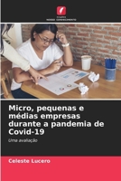 Micro, pequenas e médias empresas durante a pandemia de Covid-19 (Portuguese Edition) 6208578183 Book Cover