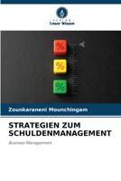 Strategien Zum Schuldenmanagement (German Edition) 6207790782 Book Cover