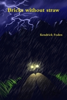 Bricks without straw 1445219905 Book Cover