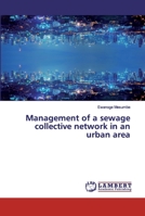 Management of a sewage collective network in an urban area 620029447X Book Cover