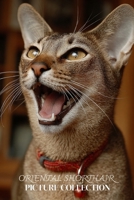 Oriental Shorthair Cat Photo Collection: Elegant Full-Page Pictures of Oriental Shorthair Cats and Kittens for All Ages (Calming Pet Books). B0GKPQ7WN4 Book Cover