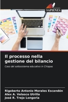 Il processo nella gestione del bilancio (Italian Edition) 6206958000 Book Cover