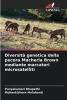 Diversità genetica della pecora Macherla Brown mediante marcatori microsatelliti 6205389371 Book Cover