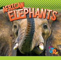 African Elephants 1644664348 Book Cover