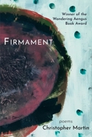 Firmament B0CTLS2HFZ Book Cover