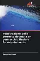 Penetrazione della corrente dovuta a un pennacchio fluviale forzato dal vento (Italian Edition) 6209302092 Book Cover