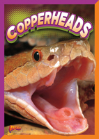 Copperheads 1623102731 Book Cover