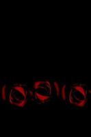 And She Finally Learned 1411667956 Book Cover