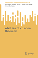 What is a Fluctuation Theorem? (SpringerBriefs in Mathematical Physics, 54) 3032020948 Book Cover