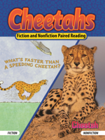 Cheetahs: What's Faster Than a Speeding Cheetah/Cheetah B0GN6L2CV1 Book Cover