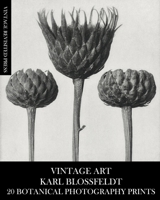 Vintage Art: Karl Blossfeldt 20 Botanical Photography Prints 1006605312 Book Cover