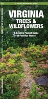 Virginia Trees & Wildflowers: An Introduction to Familiar Species (Pocket Naturalist - Waterford Press) 1583552502 Book Cover