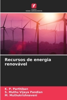Recursos de energia renovável 6208076293 Book Cover