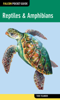 Reptiles & Amphibians 0762781920 Book Cover