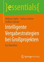 Intelligente Vergabestrategien Bei Grossprojekten: Ein Uberblick 3658161523 Book Cover