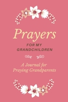 Prayers for my Grandchildren: A Journal for Praying Grandparents 165421910X Book Cover