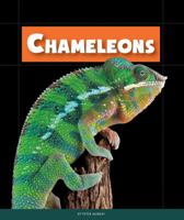 Chameleons 1631437038 Book Cover