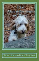 The Meanderings of Bing: A gentle, humorous look at life, snooker, whizzers and other great philosophical mysteries through the meanderings of Bing, a dog of rather large brain, and his minder Tim, as 0995649502 Book Cover