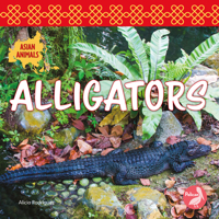 Alligators 163897439X Book Cover