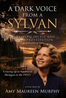 A DARK VOICE FROM A SYLVAN: Surviving Incest & Child Prostitution / Growing Up in Southwest Michigan in the 1970's B0H7PGZ7RD Book Cover
