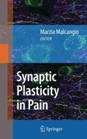 Synaptic Plasticity in Pain 148998366X Book Cover