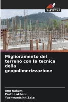 Miglioramento del terreno con la tecnica della geopolimerizzazione (Italian Edition) 6208617324 Book Cover